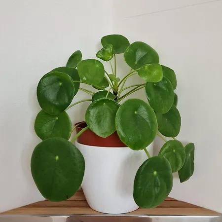 Appartamento B&s Center Spalato