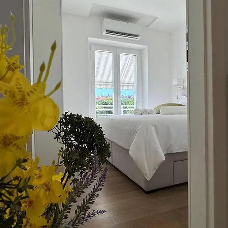 Appartement B&s Center